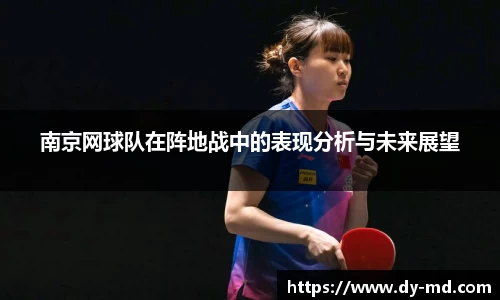南京网球队在阵地战中的表现分析与未来展望