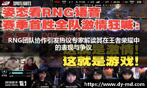 RNG团队协作引发热议专家解读其在王者荣耀中的表现与争议