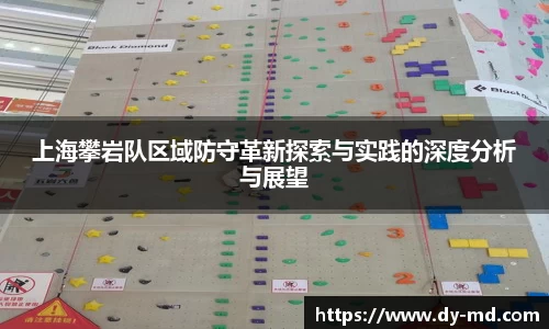 上海攀岩队区域防守革新探索与实践的深度分析与展望
