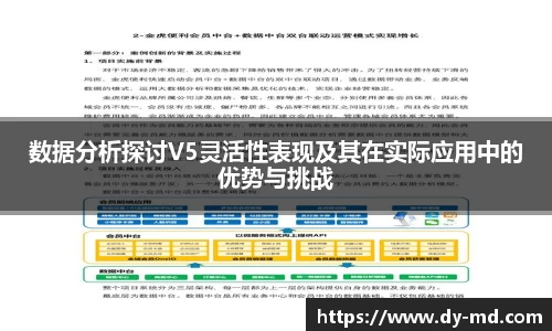 数据分析探讨V5灵活性表现及其在实际应用中的优势与挑战