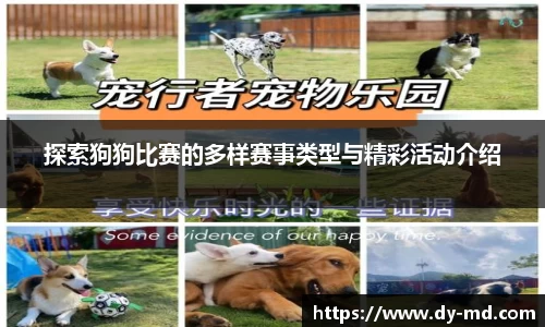 探索狗狗比赛的多样赛事类型与精彩活动介绍