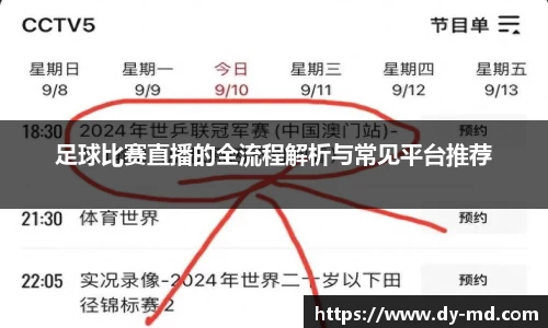 足球比赛直播的全流程解析与常见平台推荐