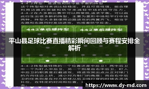 平山县足球比赛直播精彩瞬间回顾与赛程安排全解析