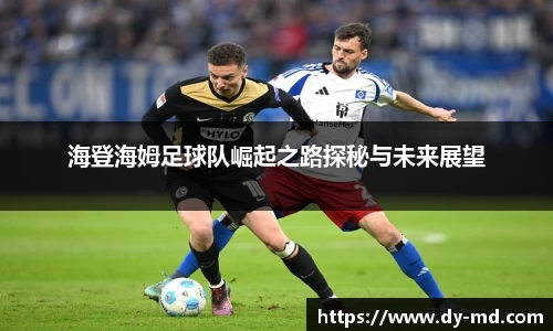 海登海姆足球队崛起之路探秘与未来展望