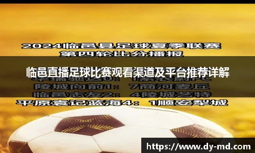 临邑直播足球比赛观看渠道及平台推荐详解