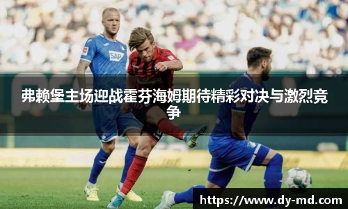 弗赖堡主场迎战霍芬海姆期待精彩对决与激烈竞争